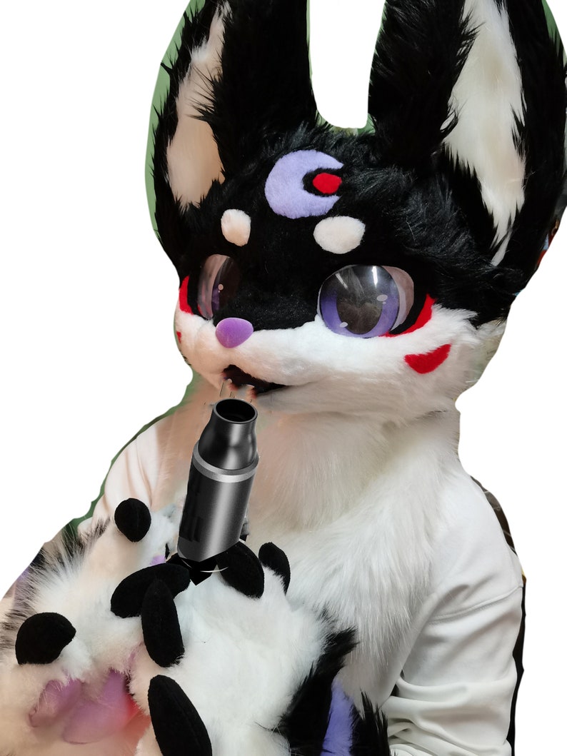 how much is a fursuit