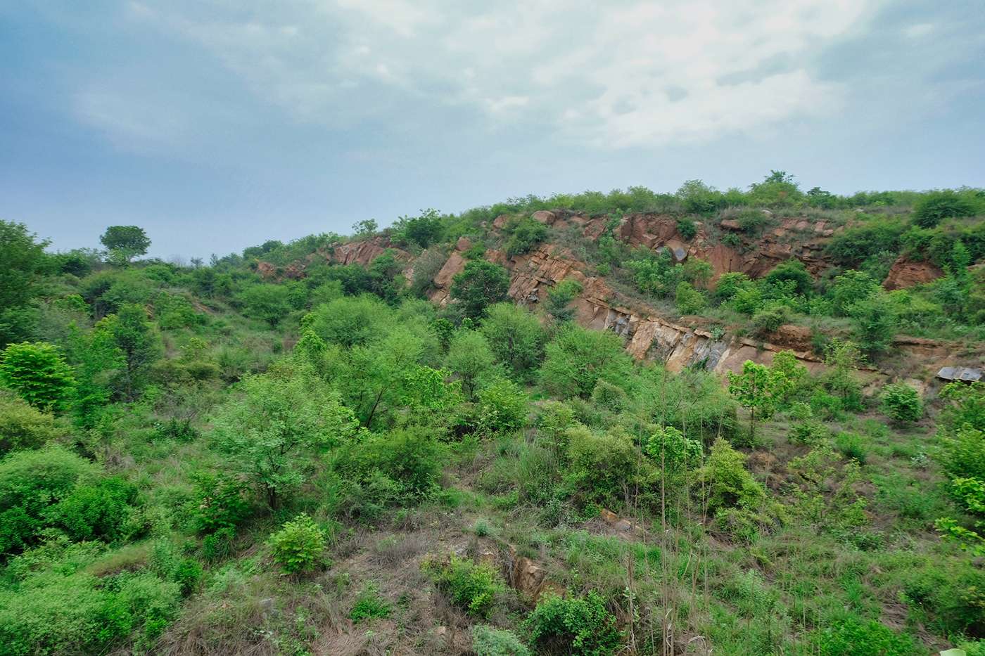 Aravali Biodiversity Park, Gurugram, Haryana