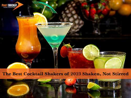 The Best Cocktail Shakers of 2023 Shaken, Not Stirred