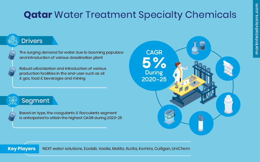 Qatar Water Treatment Specialty Chemicals Market Share