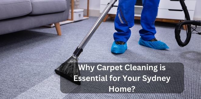 Why Carpet Cleaning is Essential for Your Sydney Home?