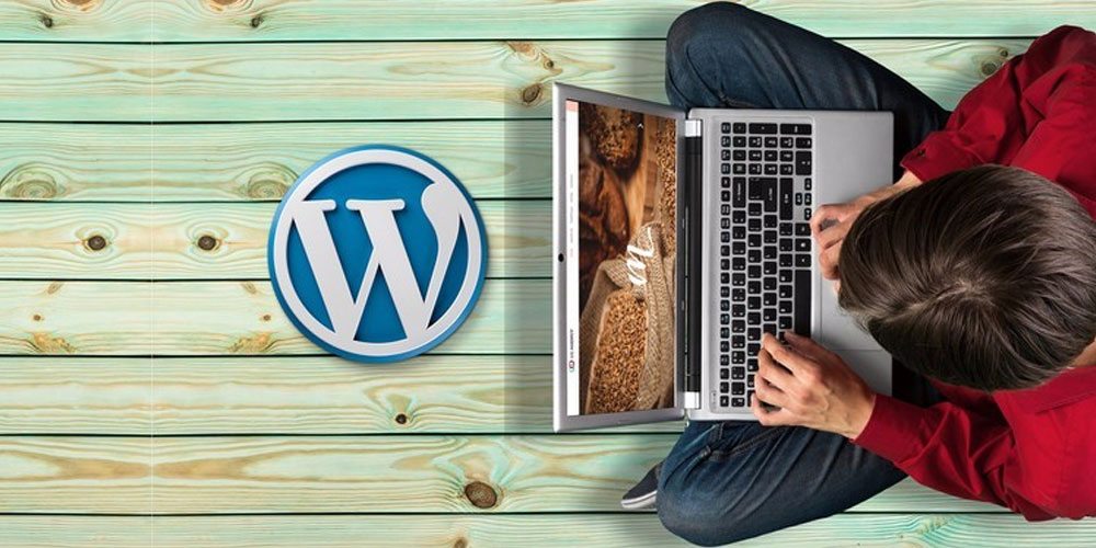 Take Charge of Your Online Destiny with Our WordPress Course in Lahore