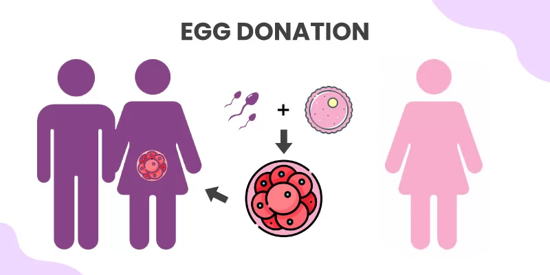 Egg Donation in India: A Comprehensive Overview