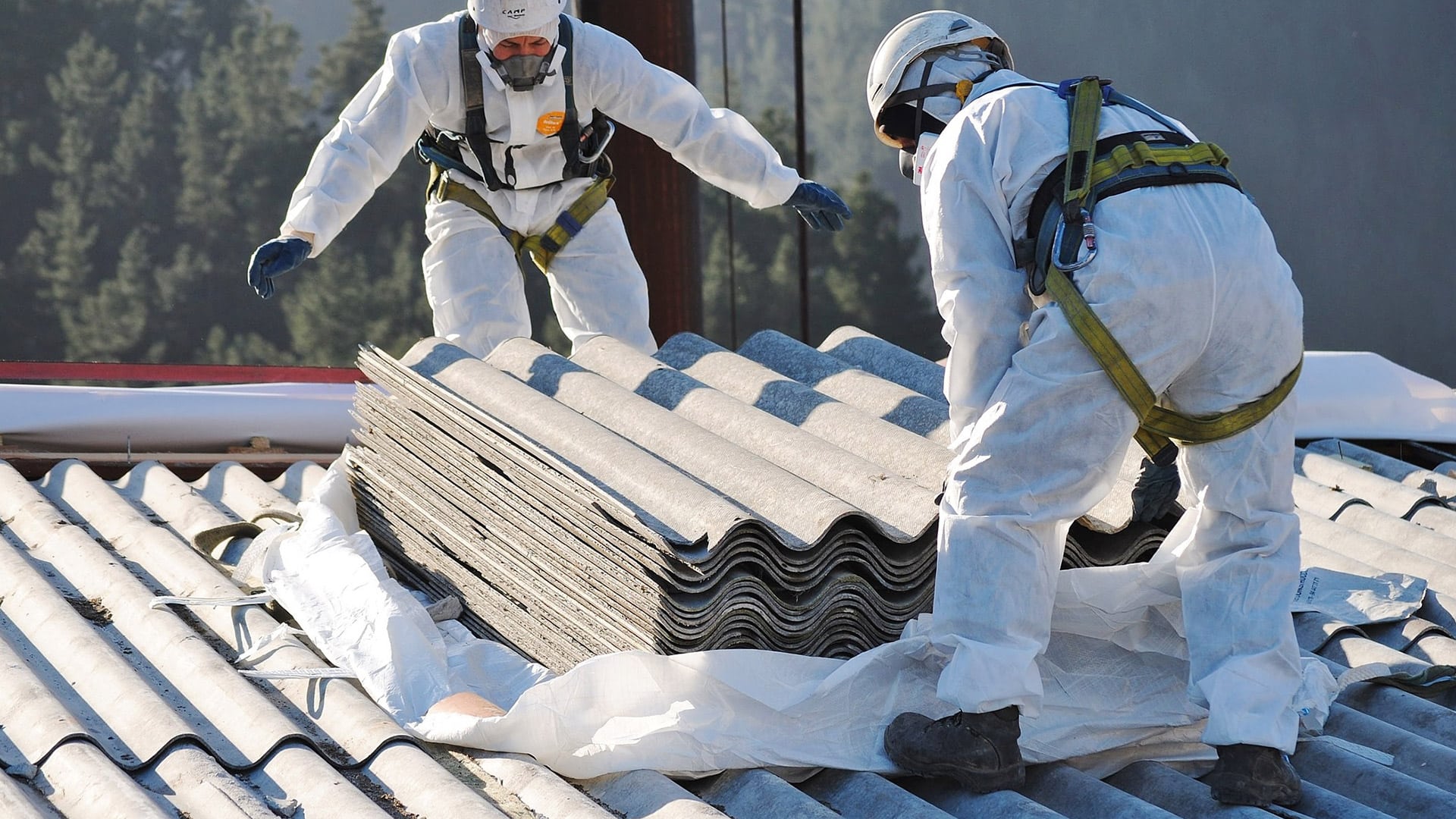 Expert Strategies for Asbestos-Free Living