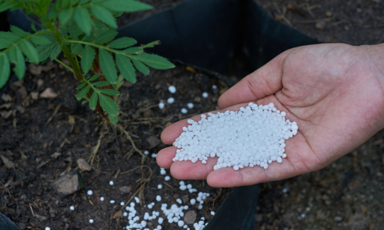 Europe Fertilizer Market is poised to achieve a valuation of US$ 50.35 Billion by 2030
