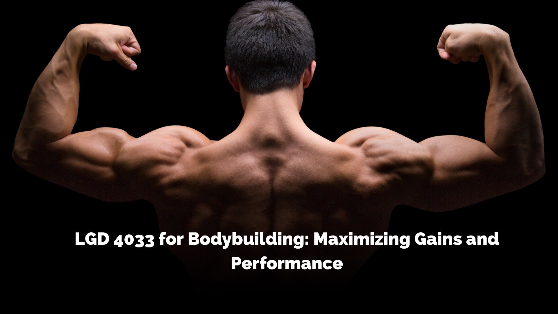 LGD 4033 for Bodybuilding: Maximizing Gains and Performance