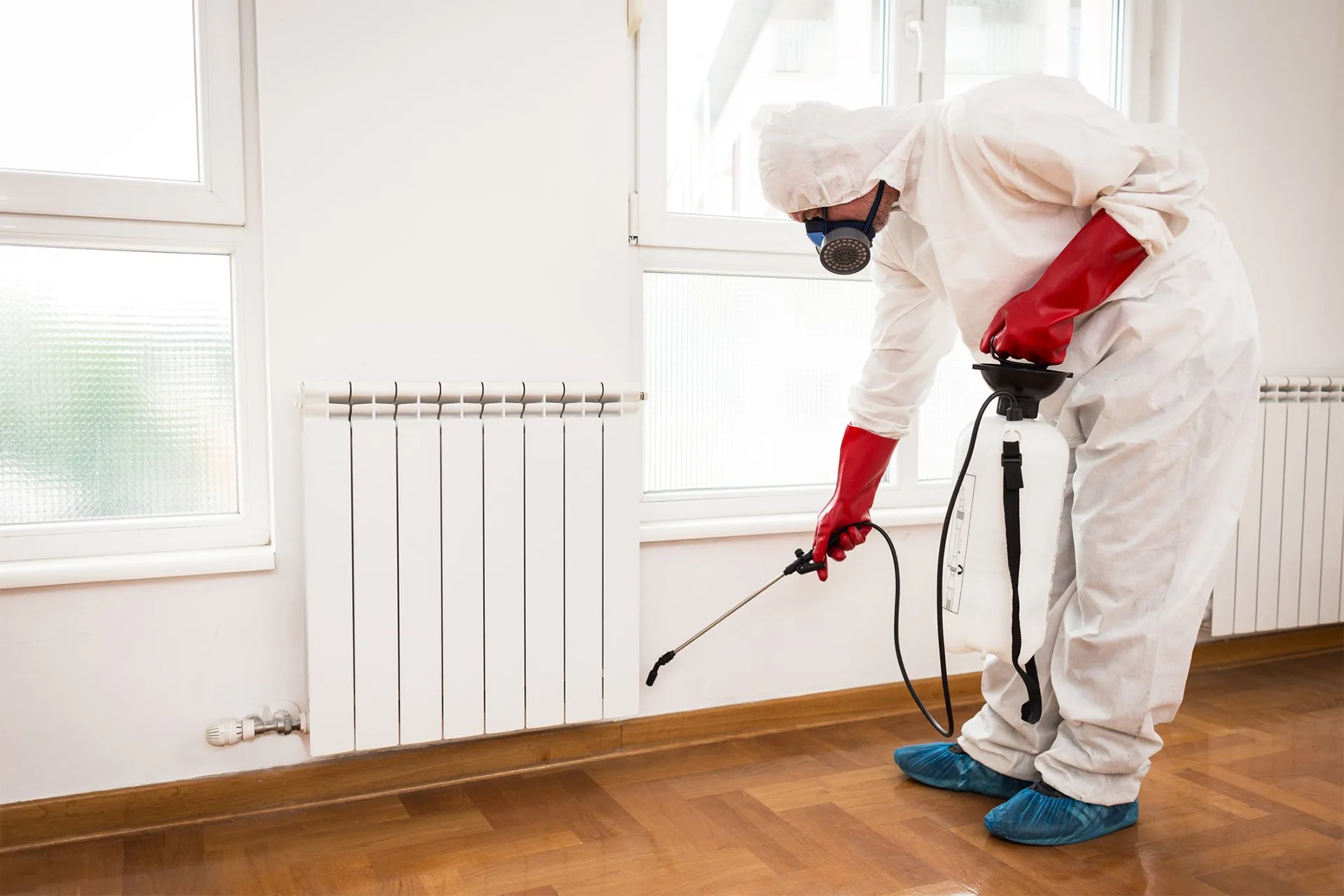 The Impact of Pest Extermination Services on Your Business