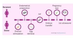 egg donation in india