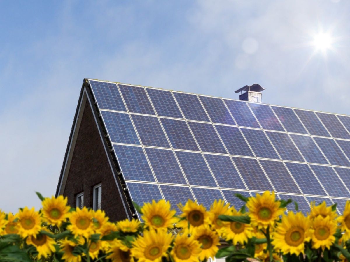 Finding Reliable Solar Providers: A Comprehensive Guide