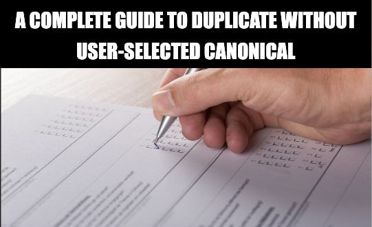 SEO Mastery: Duplicate without User Selected Canonical