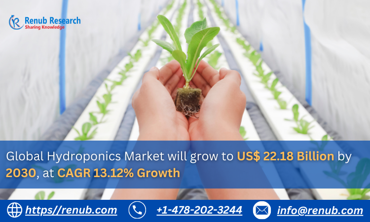 hydroponics market Report Share and Growth 2024–2030