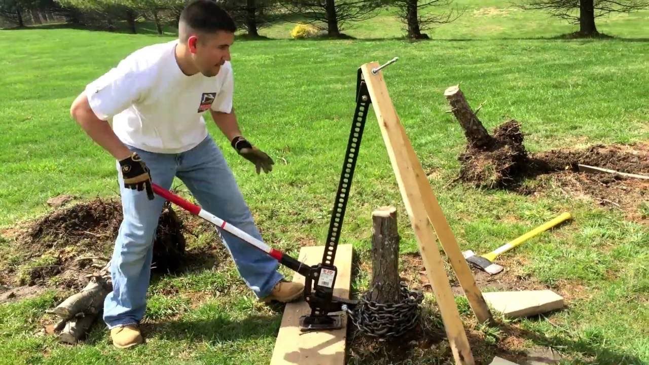 How to Safely Remove Tree Stumps from Your Yard