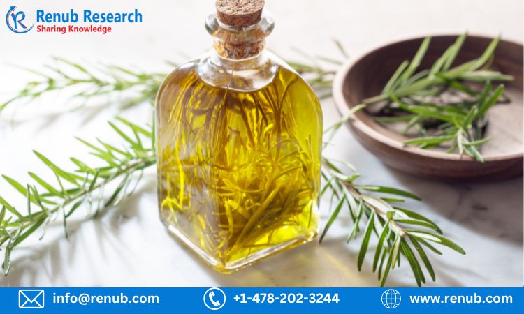 Global Soybean Oil Market, Size, Forecast 2023-2028, Industry Trends, Growth, Share, Impact of Inflation, Opportunity Company Analysis ⅼ Renub Research
